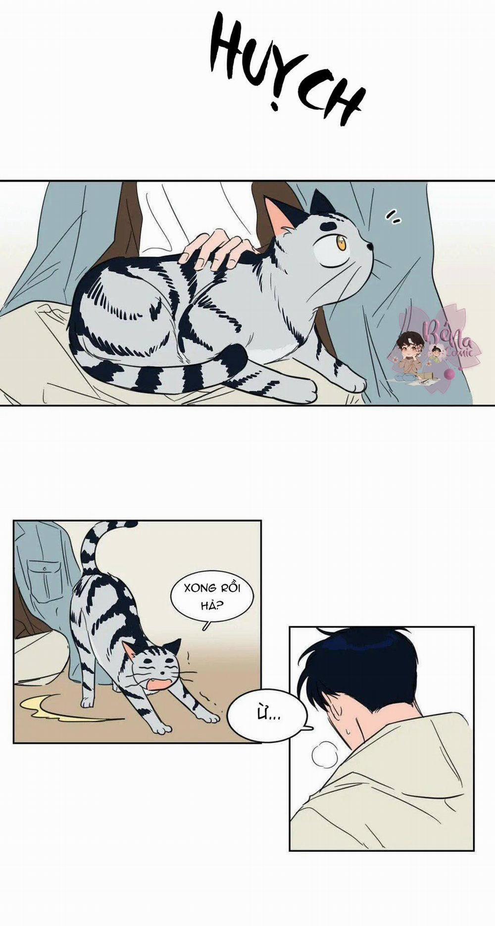 Sự Mê Hoặc Huyền Bí 5 trang 19