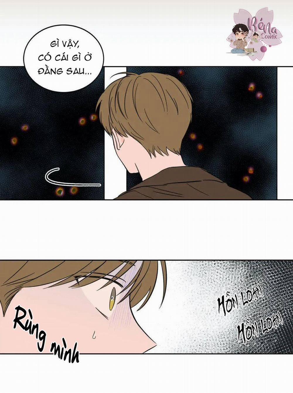 Sự Mê Hoặc Huyền Bí 5 trang 5