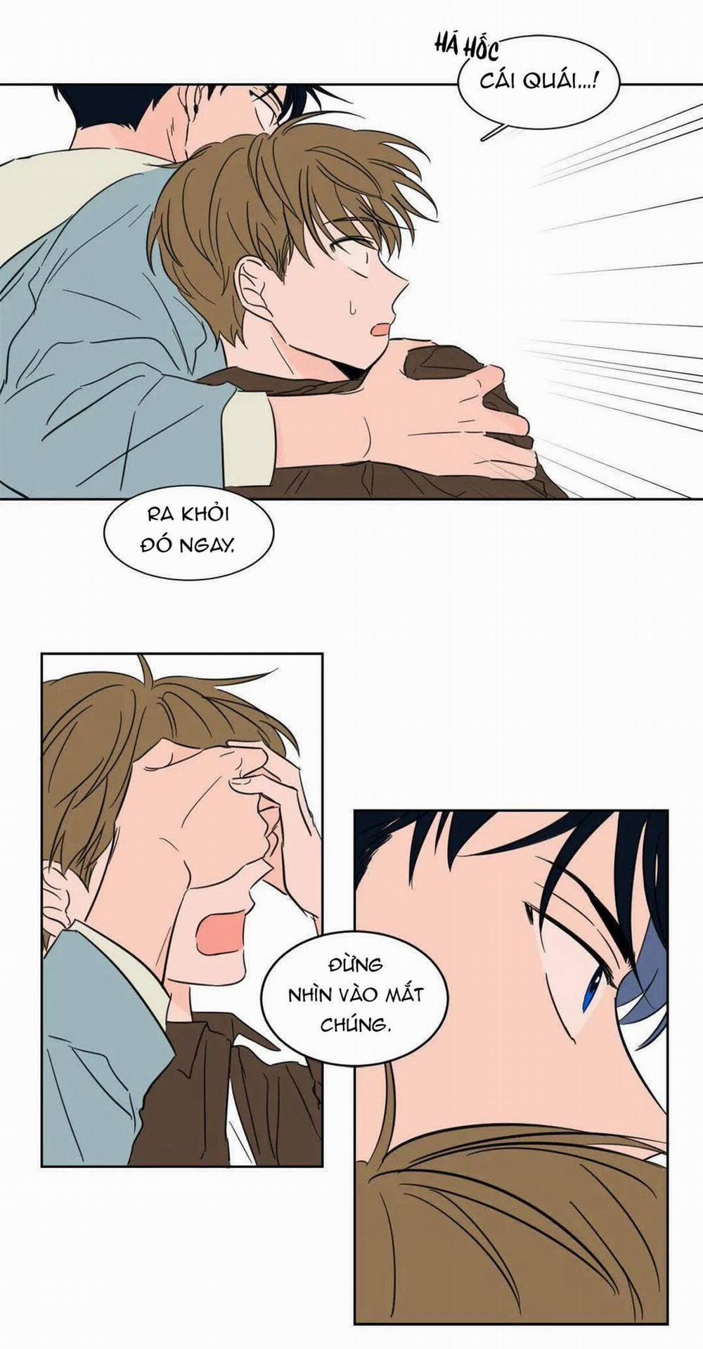 Sự Mê Hoặc Huyền Bí 5 trang 6