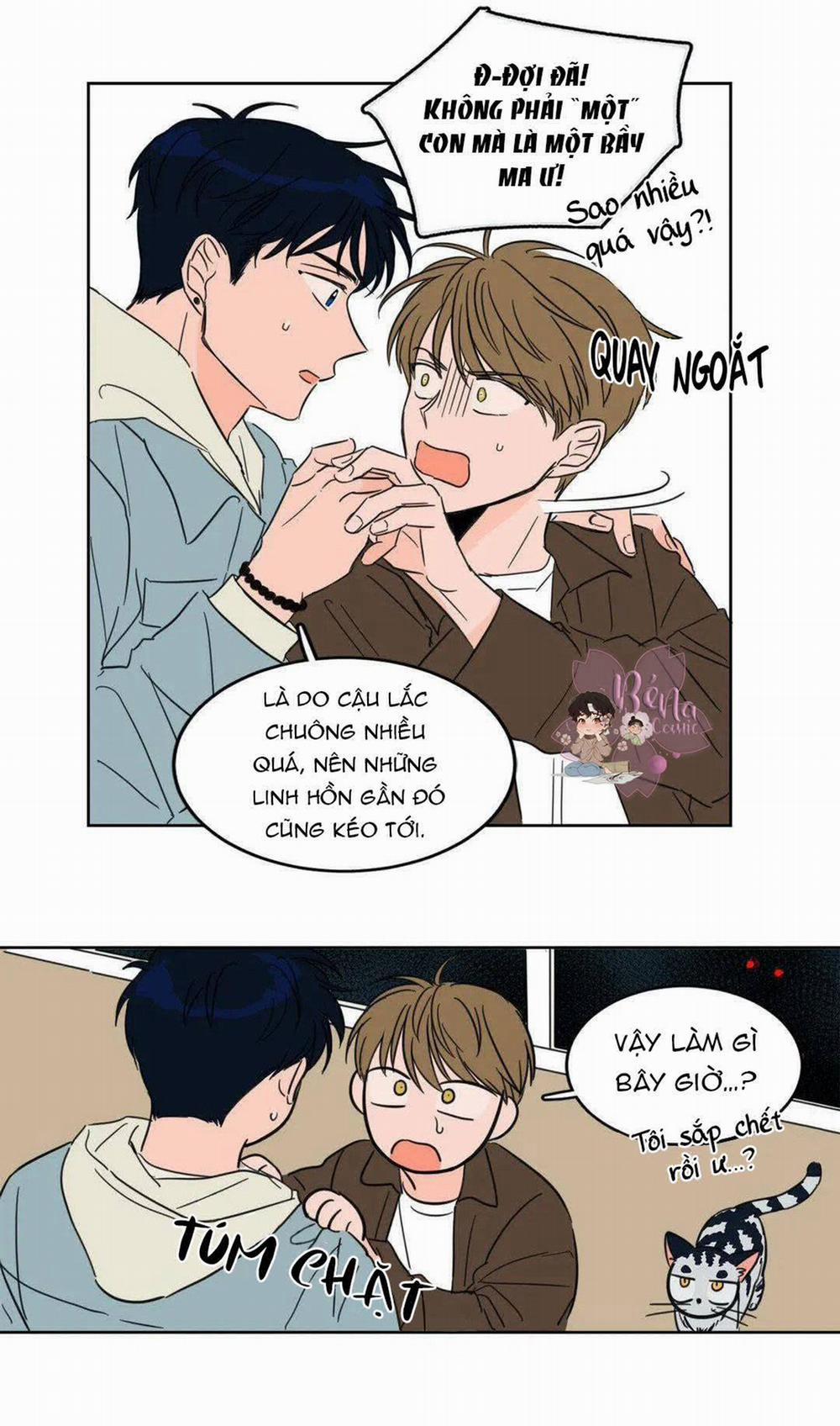 Sự Mê Hoặc Huyền Bí 5 trang 7