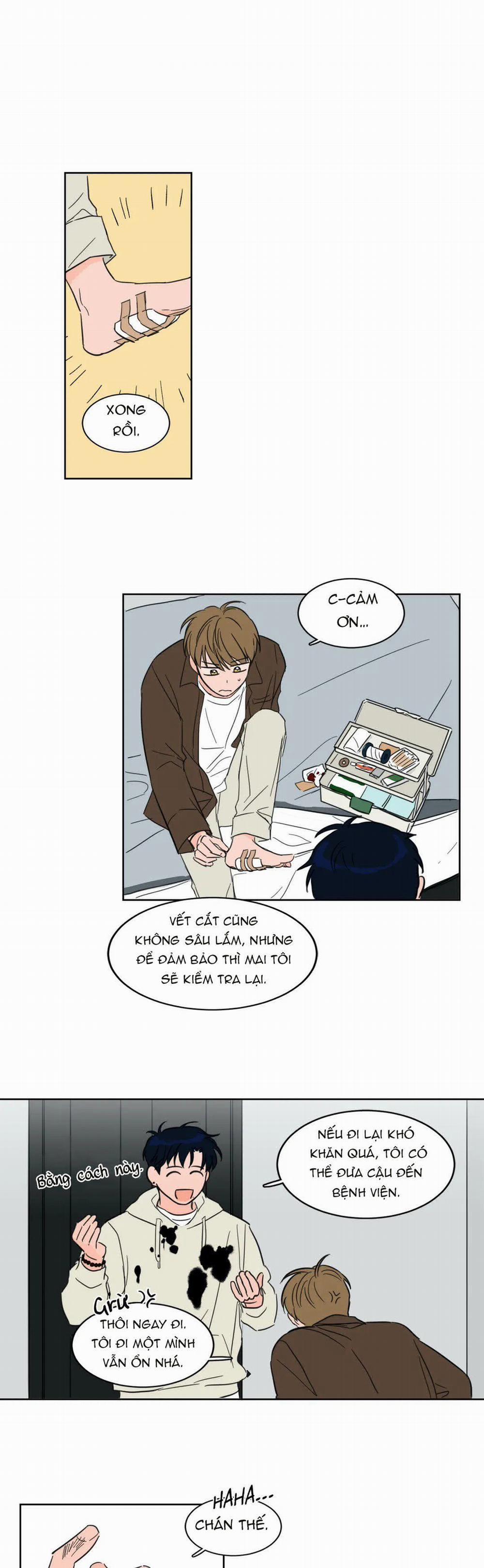 Sự Mê Hoặc Huyền Bí 6 trang 13