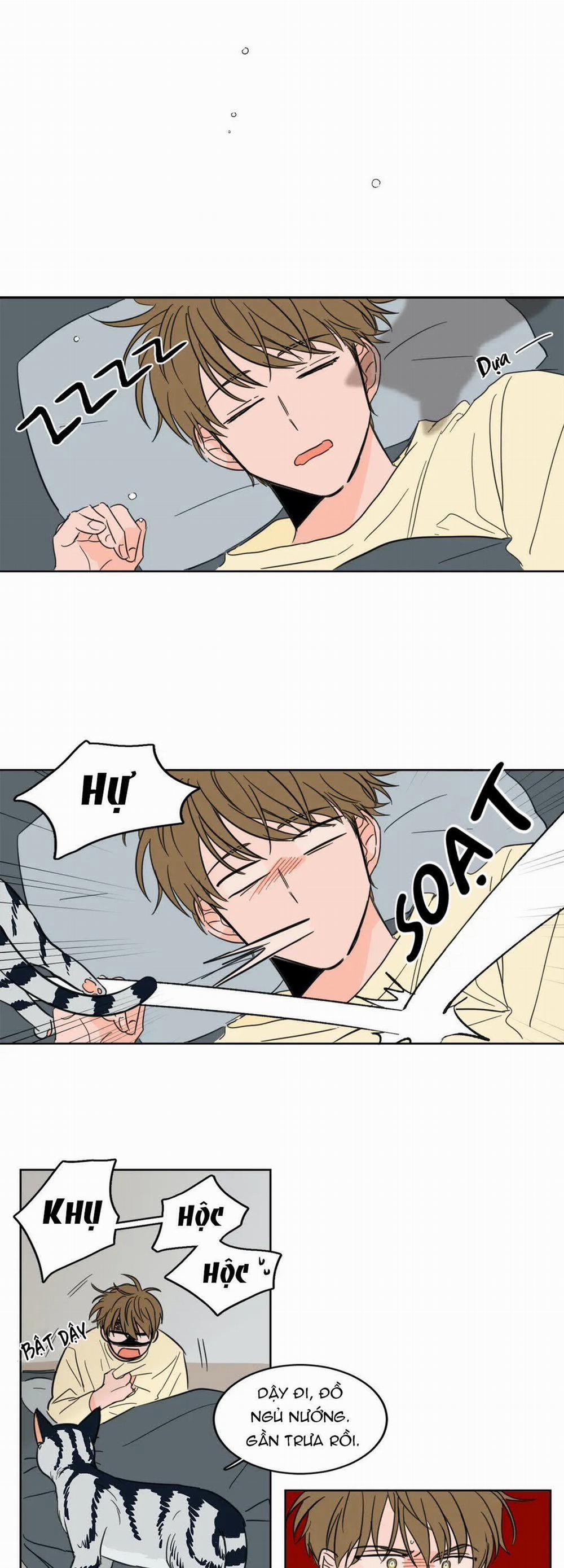 Sự Mê Hoặc Huyền Bí 6 trang 4