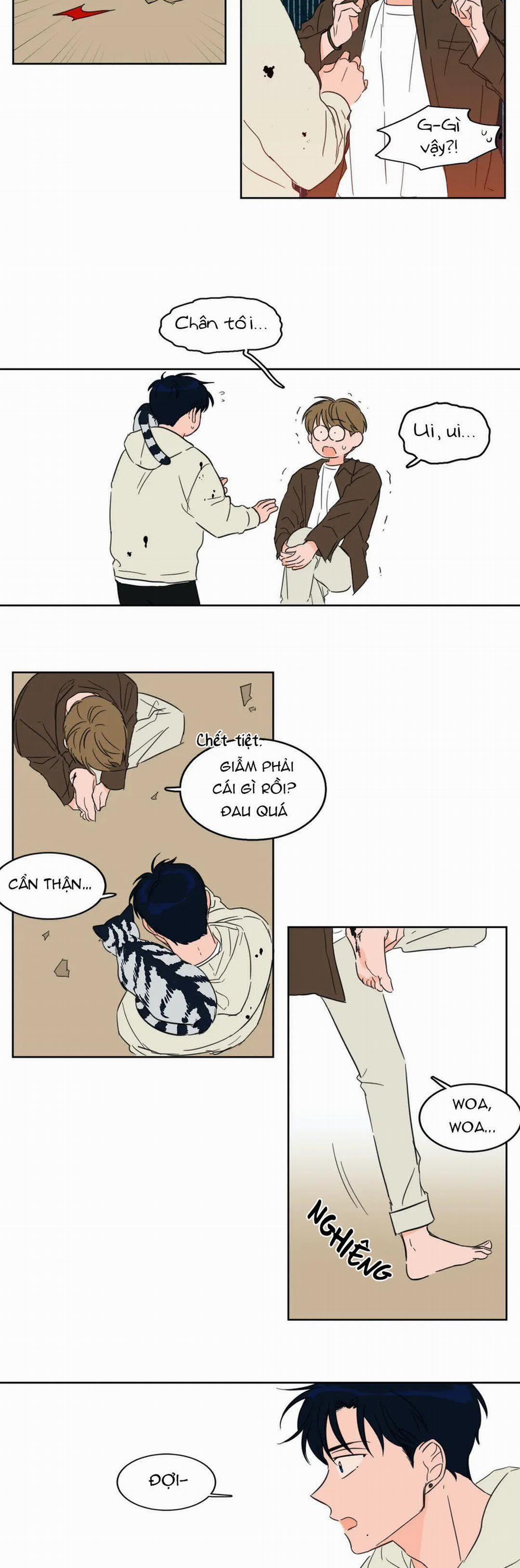 Sự Mê Hoặc Huyền Bí 6 trang 8