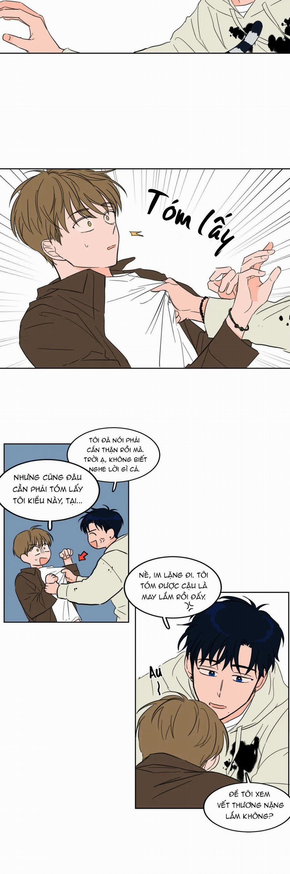 Sự Mê Hoặc Huyền Bí 6 trang 9