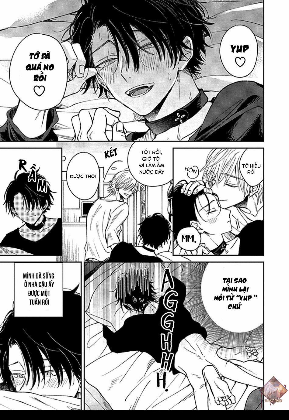 Sự Mê Hoặc Tan Chảy 2 trang 3