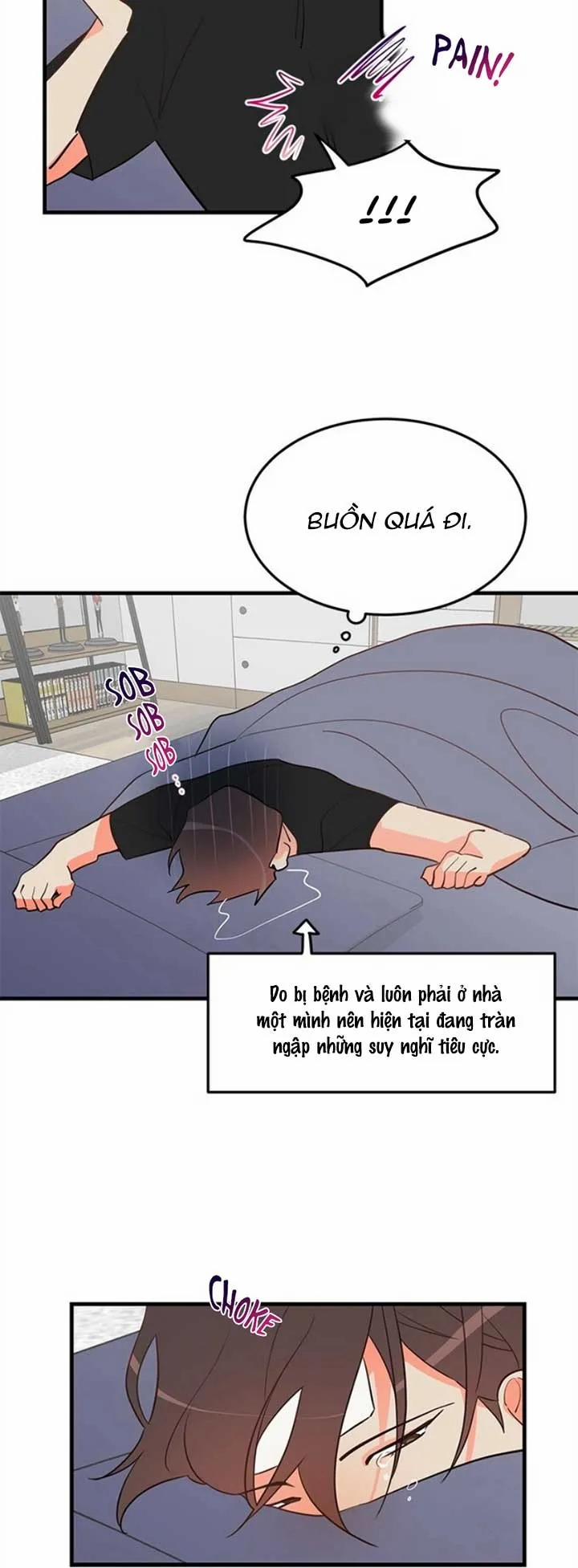 Sự Nổi Tiếng Của Tôi Có Gì Đó Sai Sai Rồi 9 trang 17