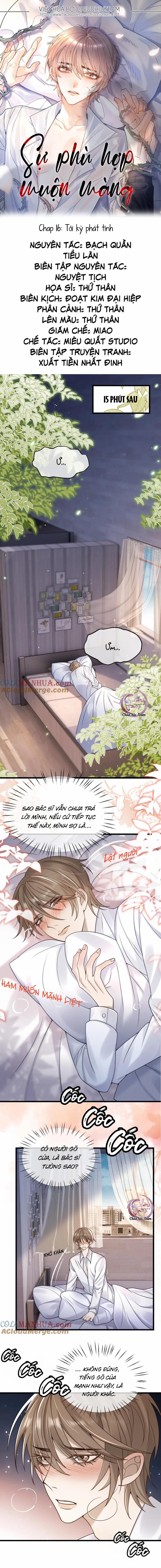 Sự Phù Hợp Muộn Màng 16 trang 0