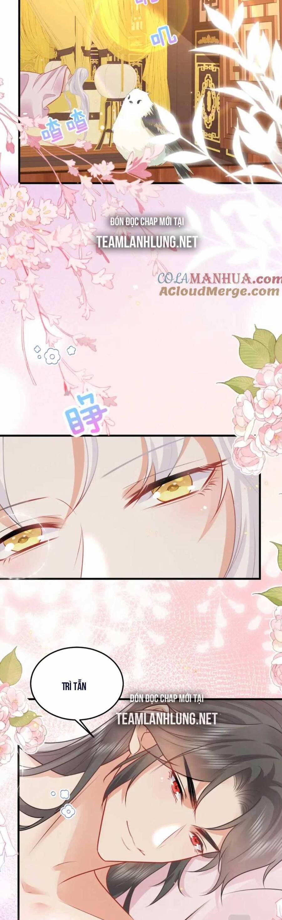 Sư Phụ Ta Muốn Người Là Của Riêng Ta 64 trang 14