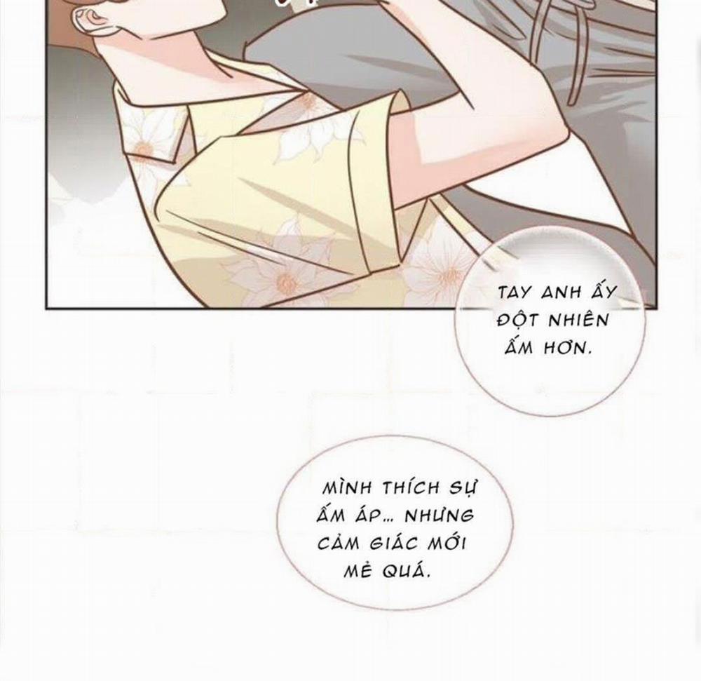 Sự Quyến Rũ Của Ác Ma 16 trang 10