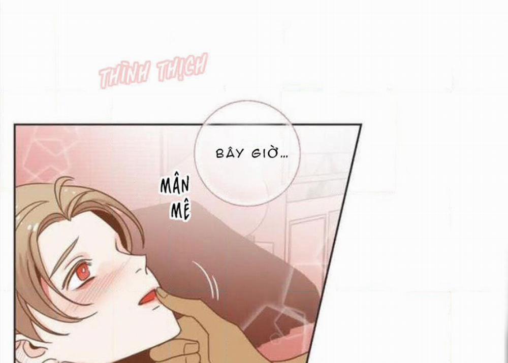 Sự Quyến Rũ Của Ác Ma 16 trang 11