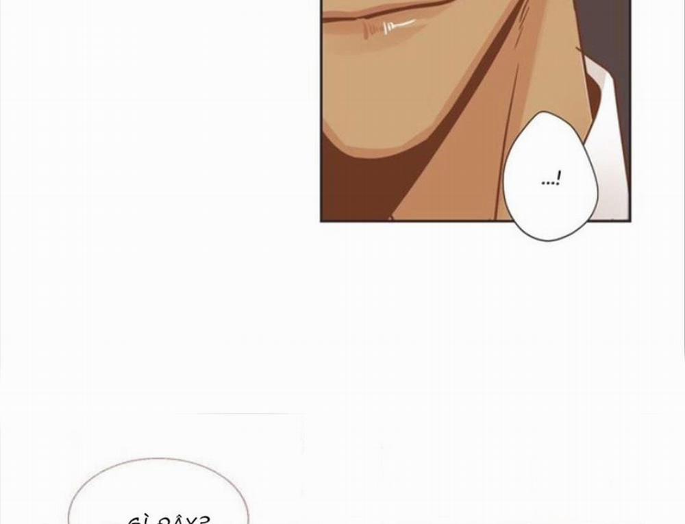 Sự Quyến Rũ Của Ác Ma 16 trang 8