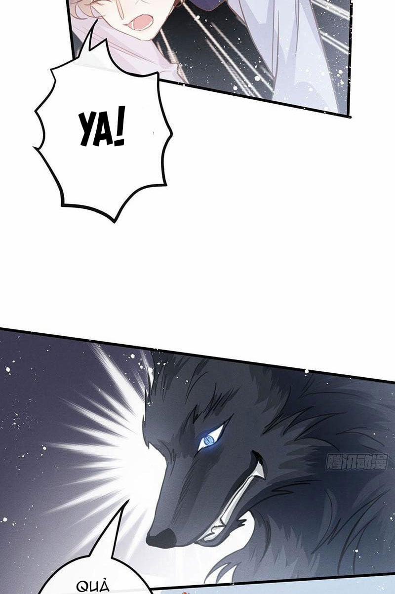 Sự Quyến Rũ Của Sói 13 trang 18