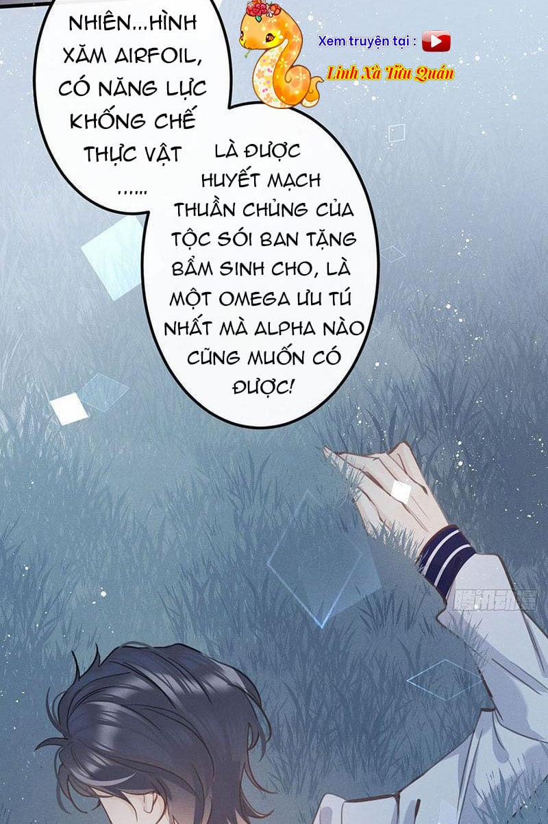 Sự Quyến Rũ Của Sói 13 trang 19