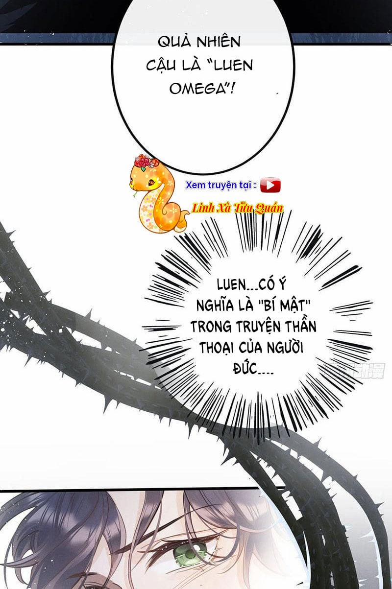 Sự Quyến Rũ Của Sói 13 trang 21