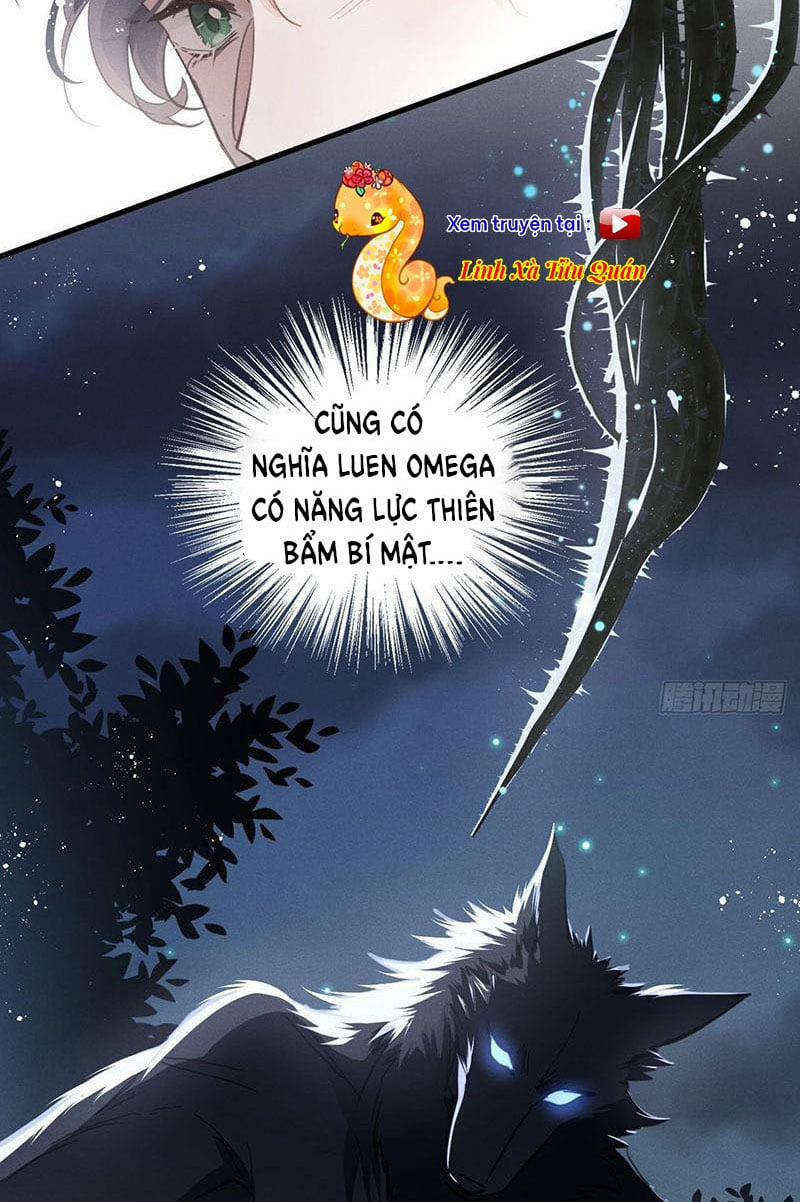 Sự Quyến Rũ Của Sói 13 trang 22