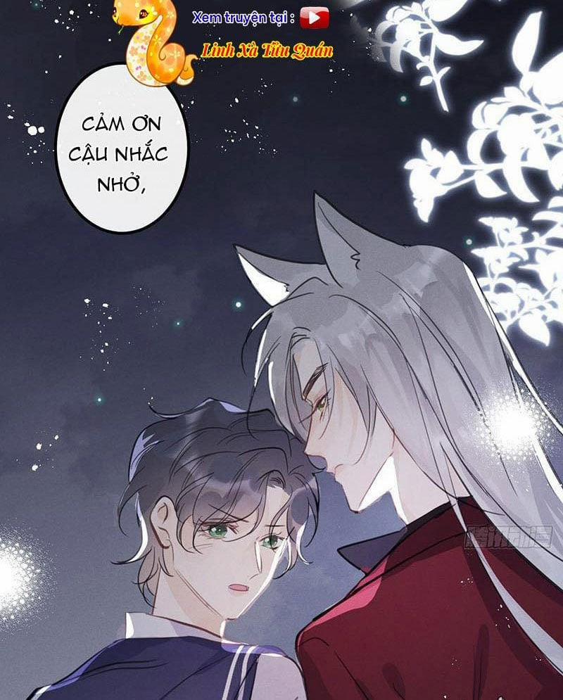 Sự Quyến Rũ Của Sói 13 trang 51