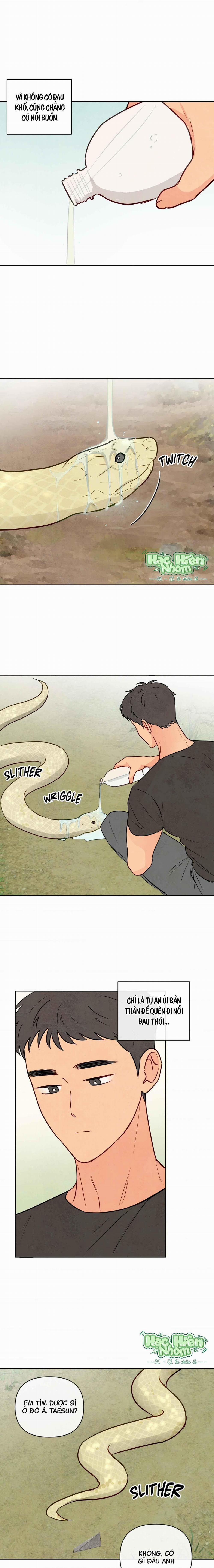 Sự Quyến Rũ Của Thần Rắn 1 trang 11