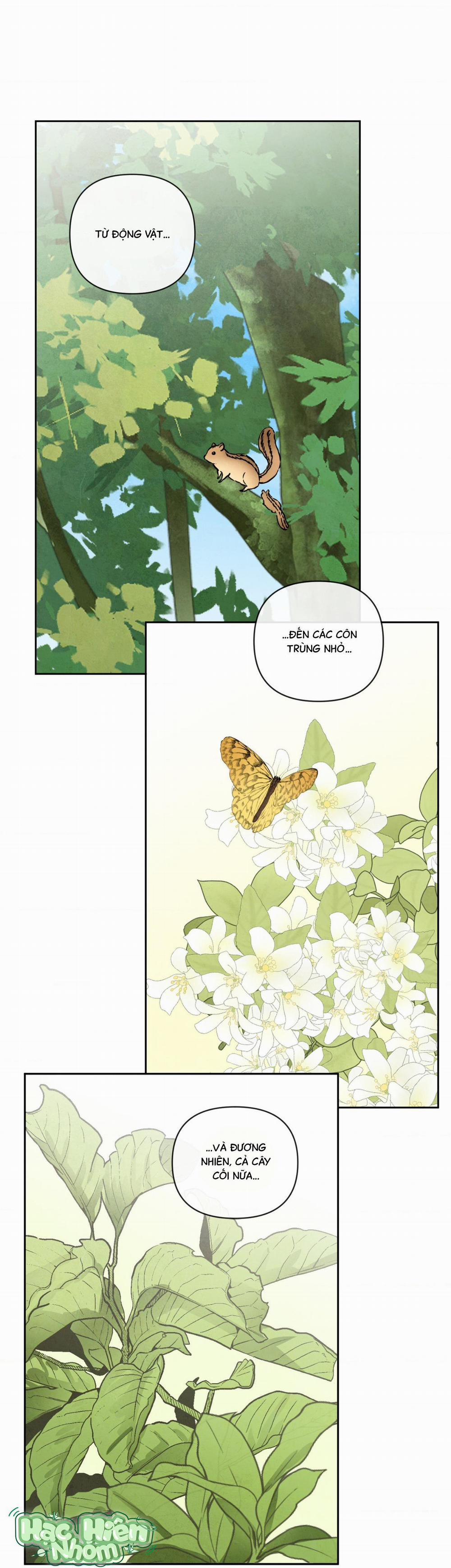 Sự Quyến Rũ Của Thần Rắn 15 trang 14