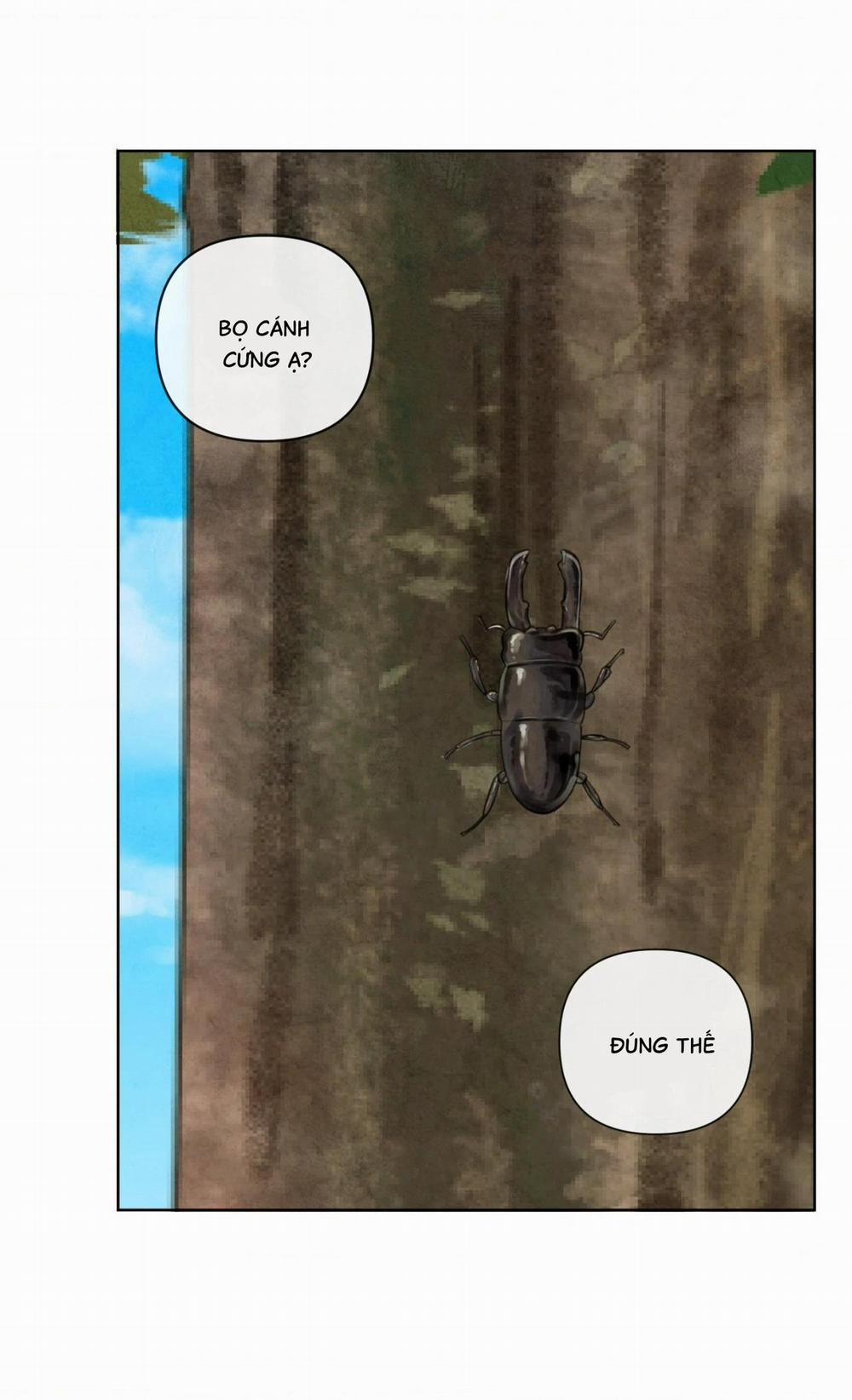 Sự Quyến Rũ Của Thần Rắn 20 trang 14