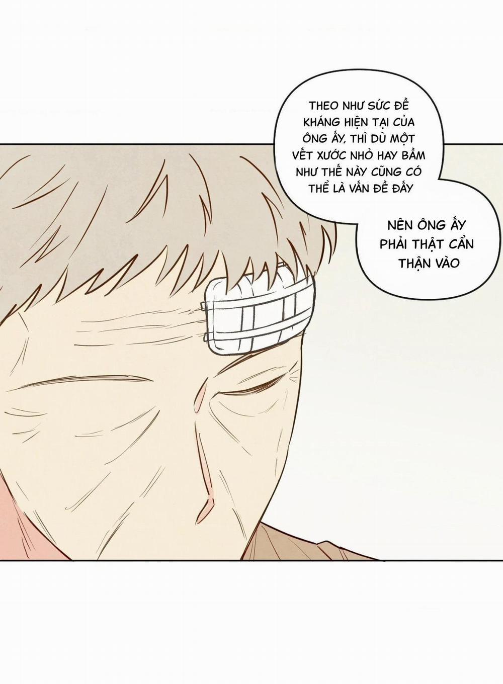 Sự Quyến Rũ Của Thần Rắn 20 trang 2