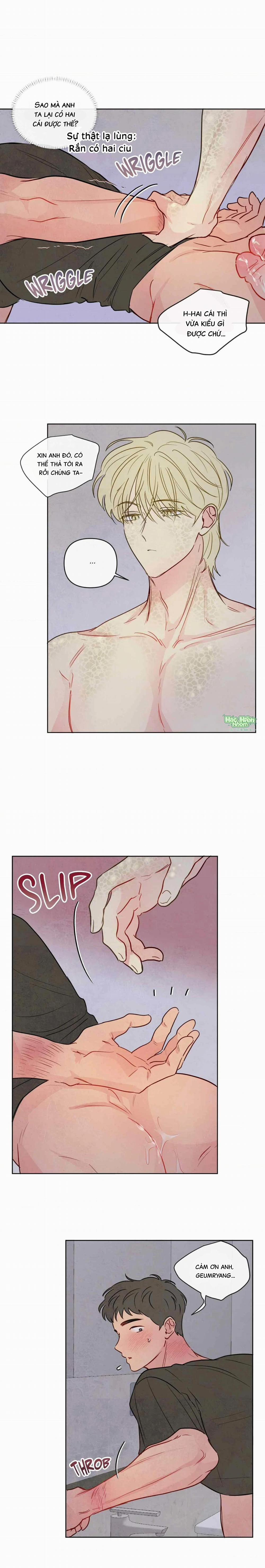 Sự Quyến Rũ Của Thần Rắn 24 Hachiennhom trang 2