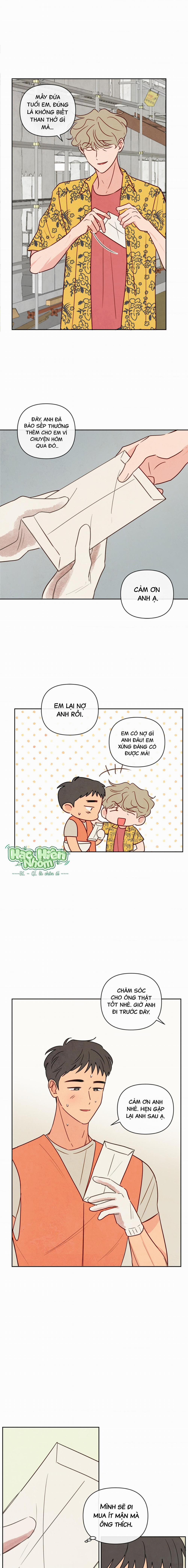 Sự Quyến Rũ Của Thần Rắn 3 trang 11