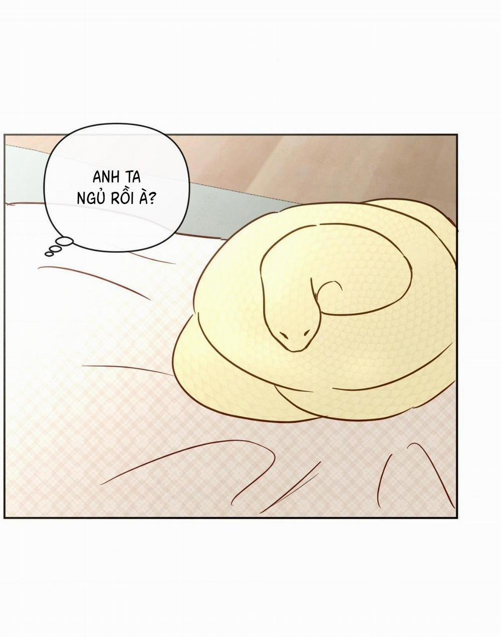 Sự Quyến Rũ Của Thần Rắn 6 trang 5