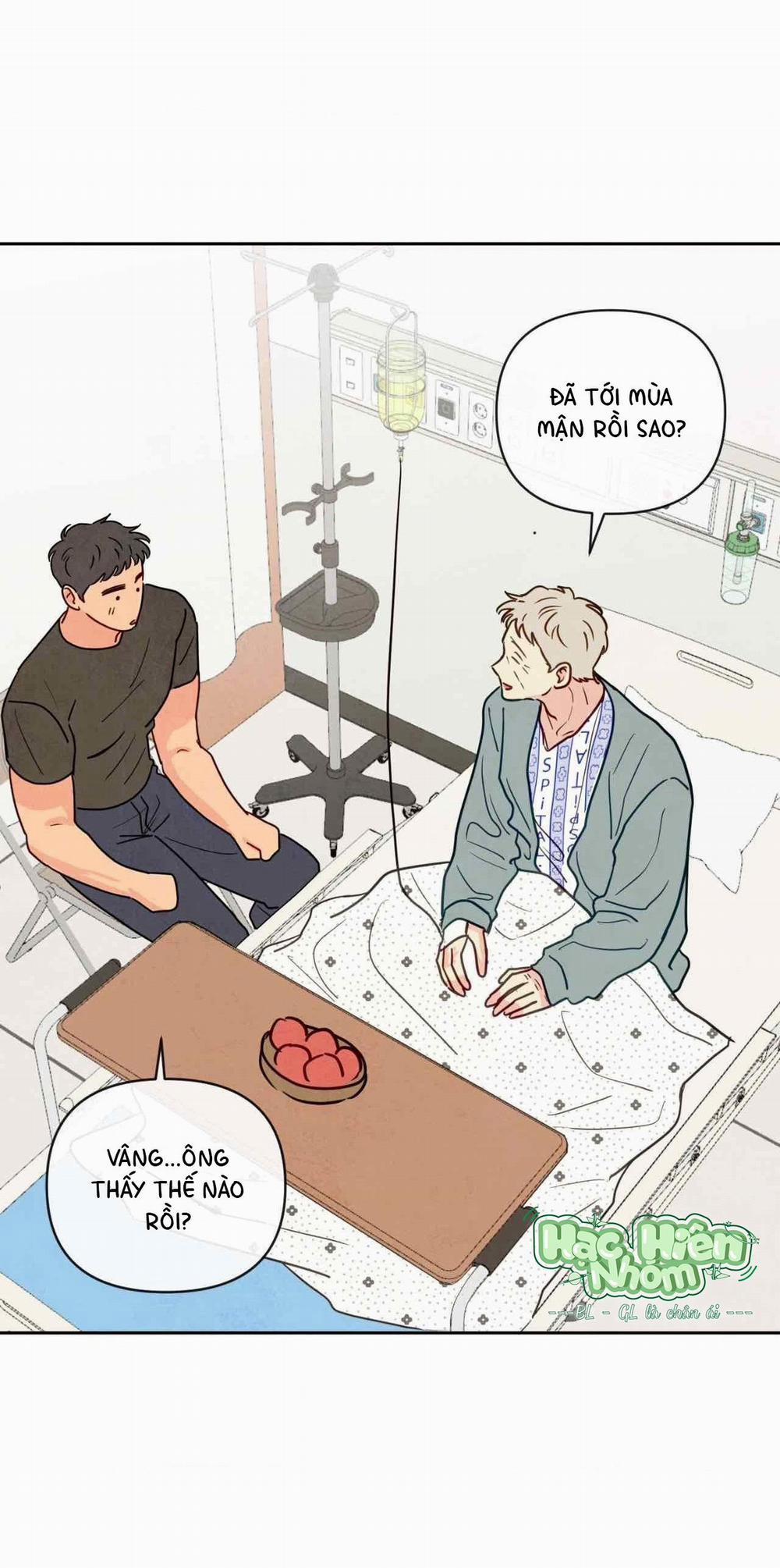 Sự Quyến Rũ Của Thần Rắn 8 Hachiennhom trang 10