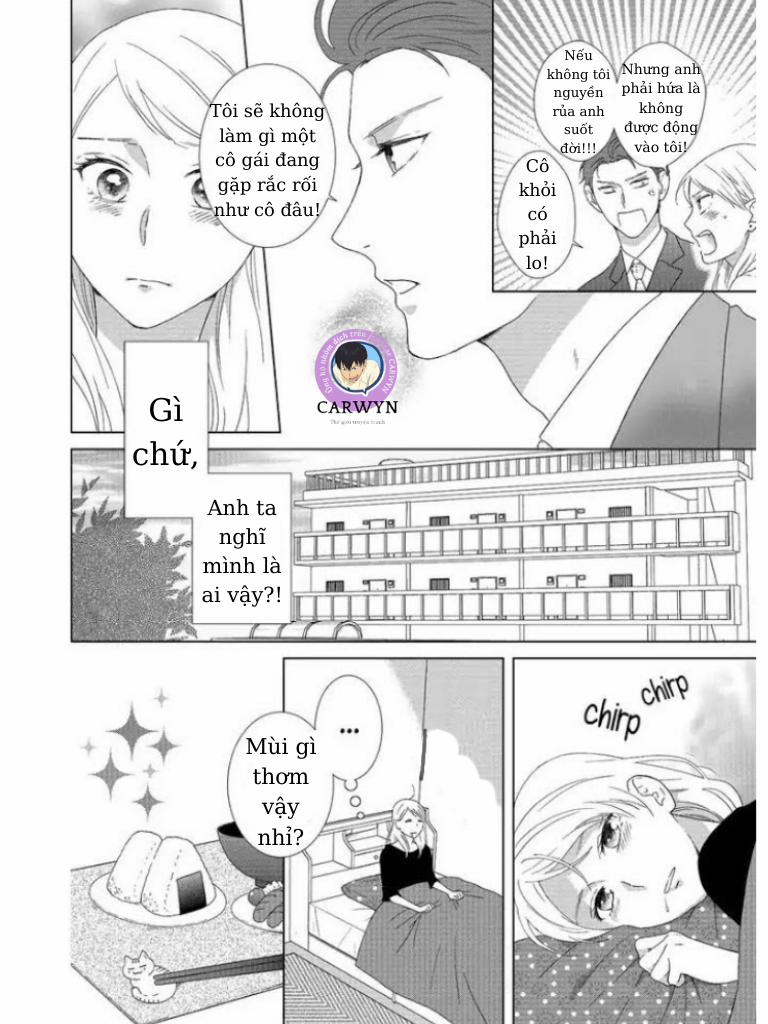 Sự Quyến Rũ Ngọt Ngào 1 trang 13