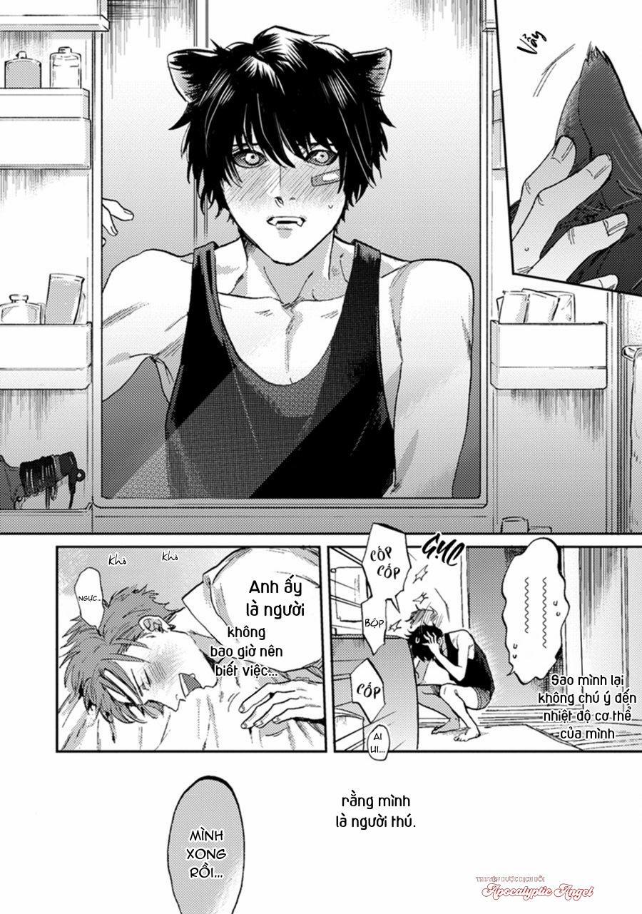 Sự Rung Động Thuần Khiết 1 trang 33