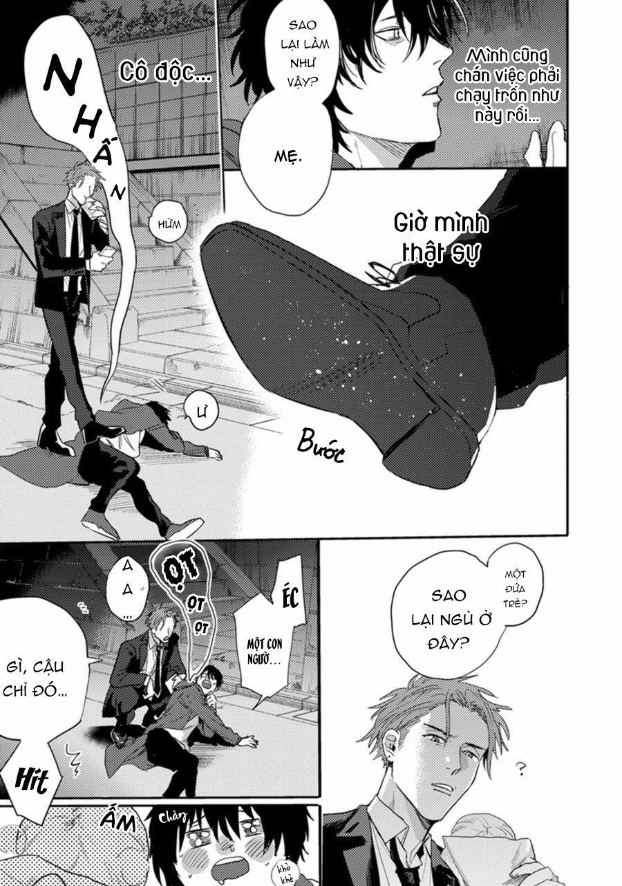 Sự Rung Động Thuần Khiết 2 trang 8