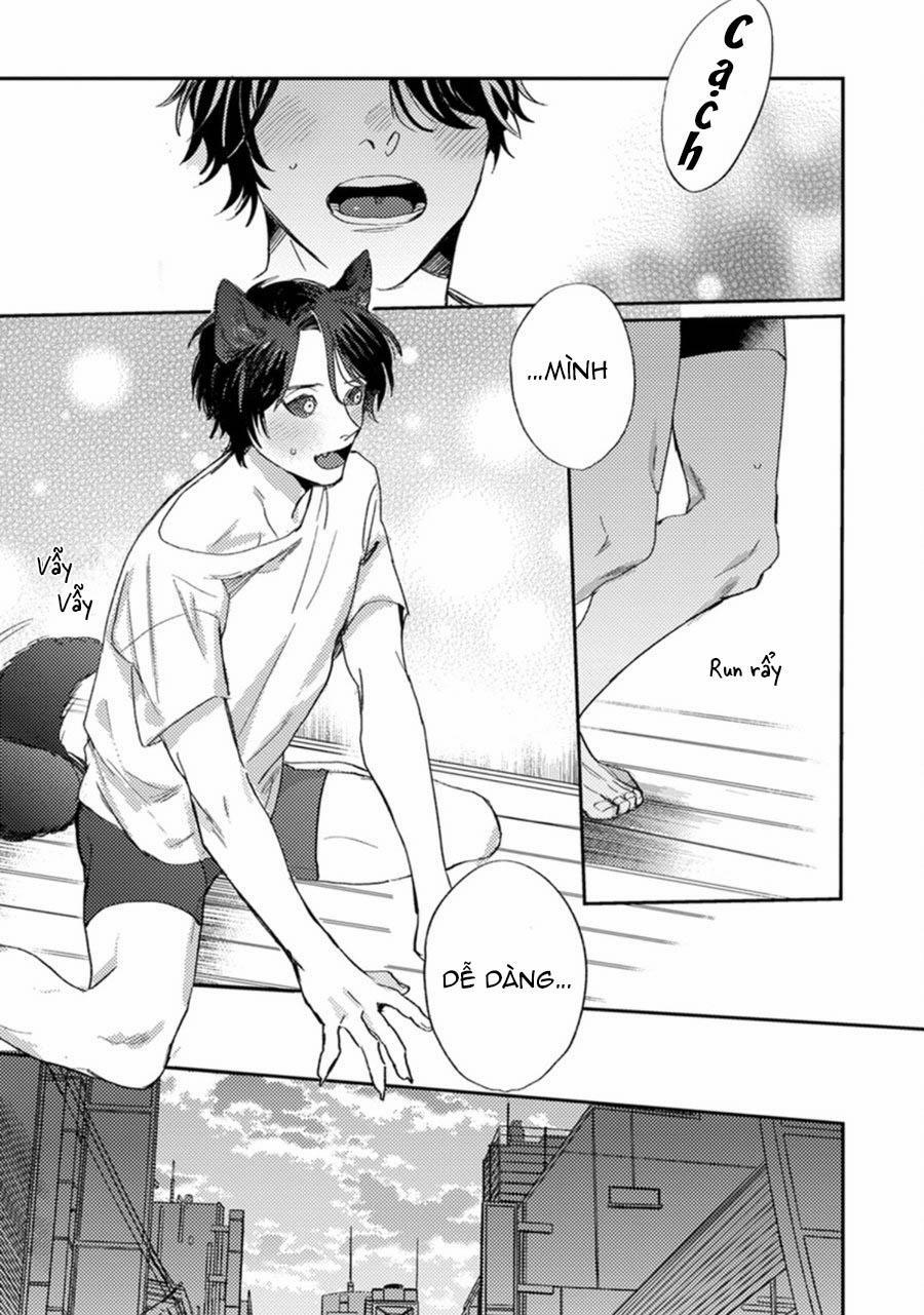 Sự Rung Động Thuần Khiết 3 trang 12