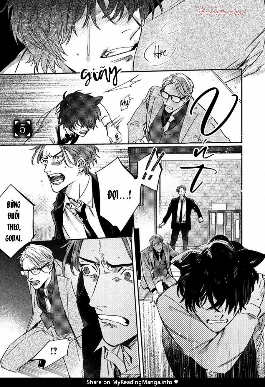 Sự Rung Động Thuần Khiết 5 trang 5