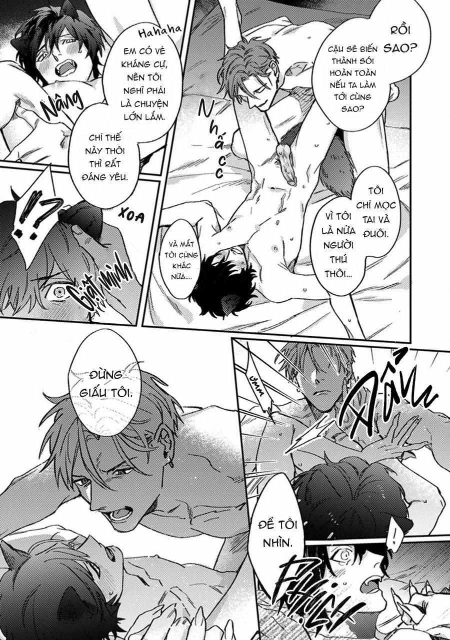 Sự Rung Động Thuần Khiết 6 trang 23