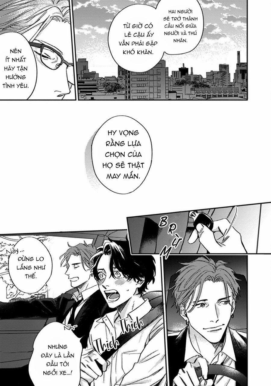 Sự Rung Động Thuần Khiết 6 trang 43