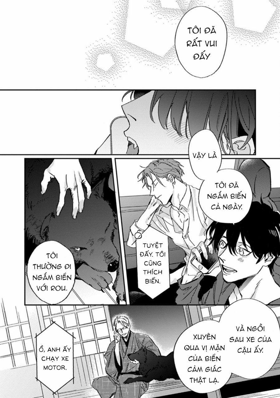 Sự Rung Động Thuần Khiết 7 trang 13