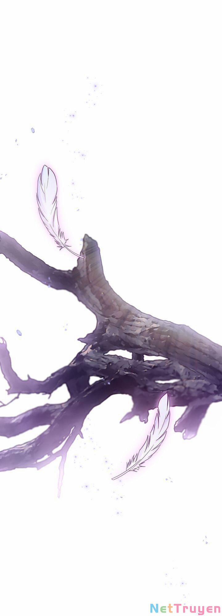 Sự Sống Sót Của Kẻ Chiêu Hồn 30 trang 61