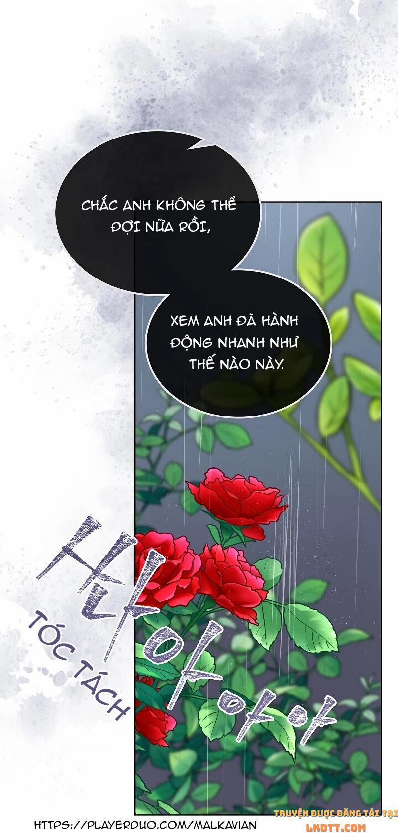 Sự Thật Thì, Họ Chỉ Nhớ Đến Cô Ấy 39 trang 50