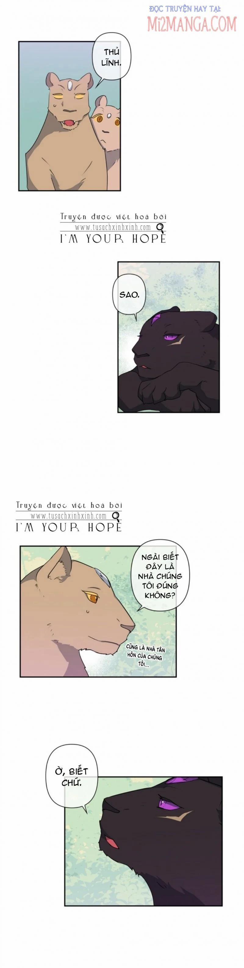 Sự Thật Thì, Họ Chỉ Nhớ Đến Cô Ấy 44 trang 0