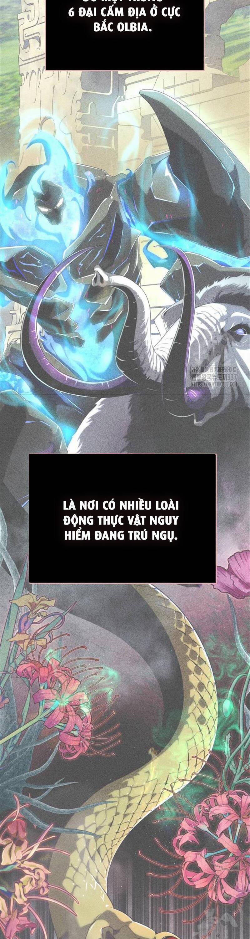 Sự Thức Tỉnh Của Hắc Ma Pháp Sư Sau 66666 Năm 118 trang 47