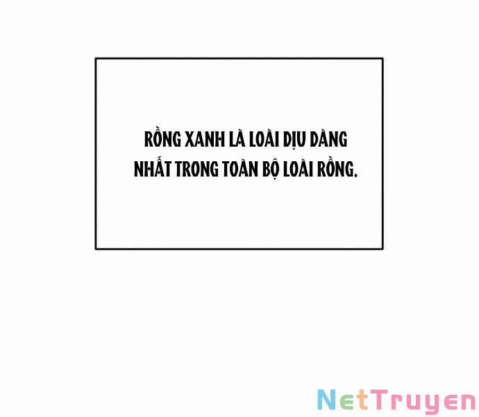 Sự Thức Tỉnh Của Hắc Ma Pháp Sư Sau 66666 Năm 33 trang 77