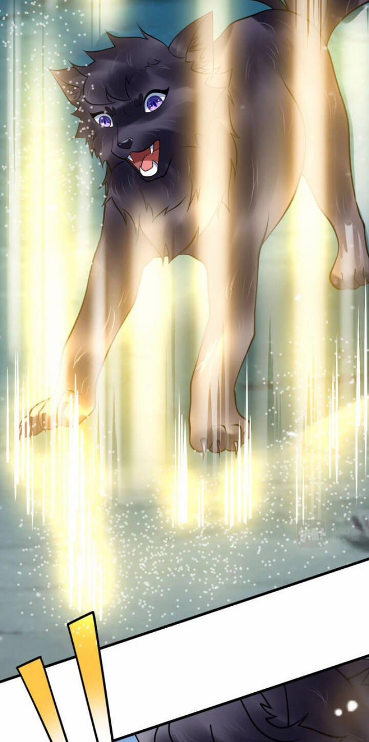 Sư Tổ Của Ta Là Thiên Hạ Đệ Nhất 30 trang 35