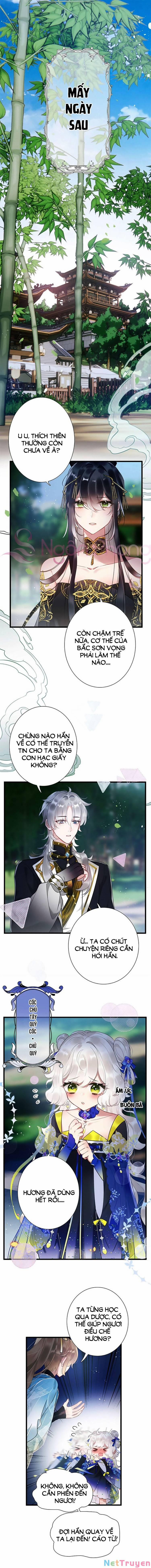 Sư Tôn Người Thật Lắm Chiêu 6 trang 1