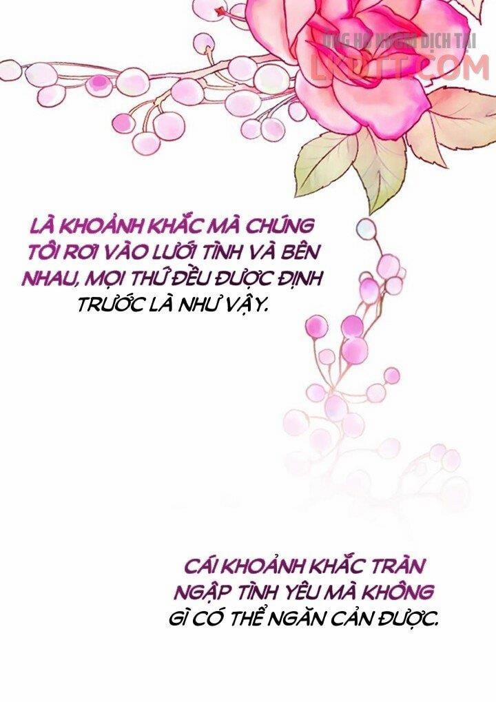 Sự Tồn Tại Lãng Mạn 5.2 trang 1