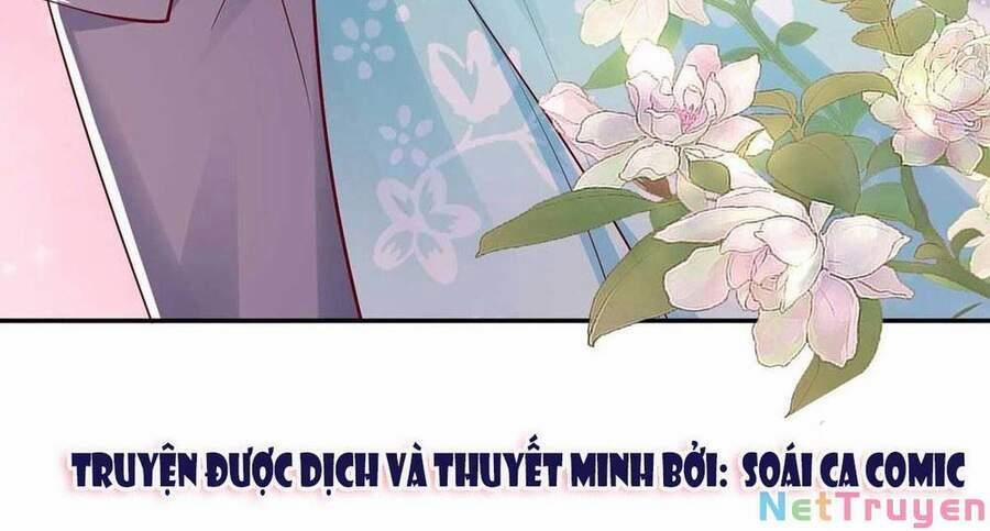 Sự Trả Thù Của Nữ Vương 77 trang 1