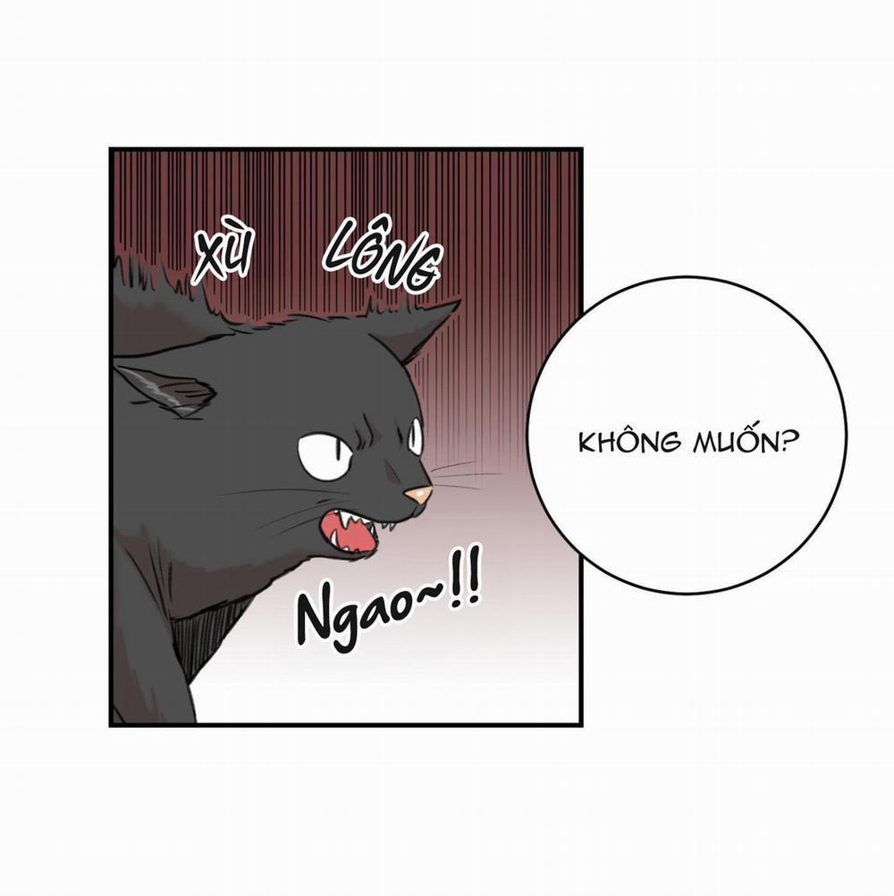 Sự Trả Thù Méo Mó 15 trang 2