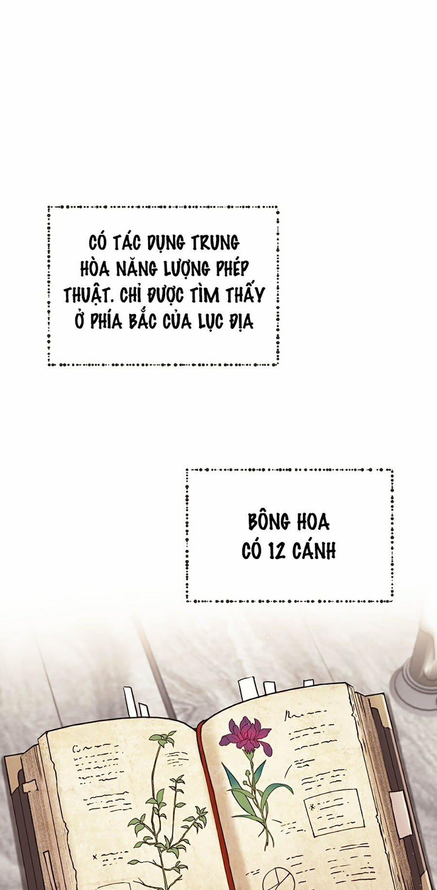 Sự Trở Lại Của Bát Cấp Ma Pháp Sư 8 trang 28