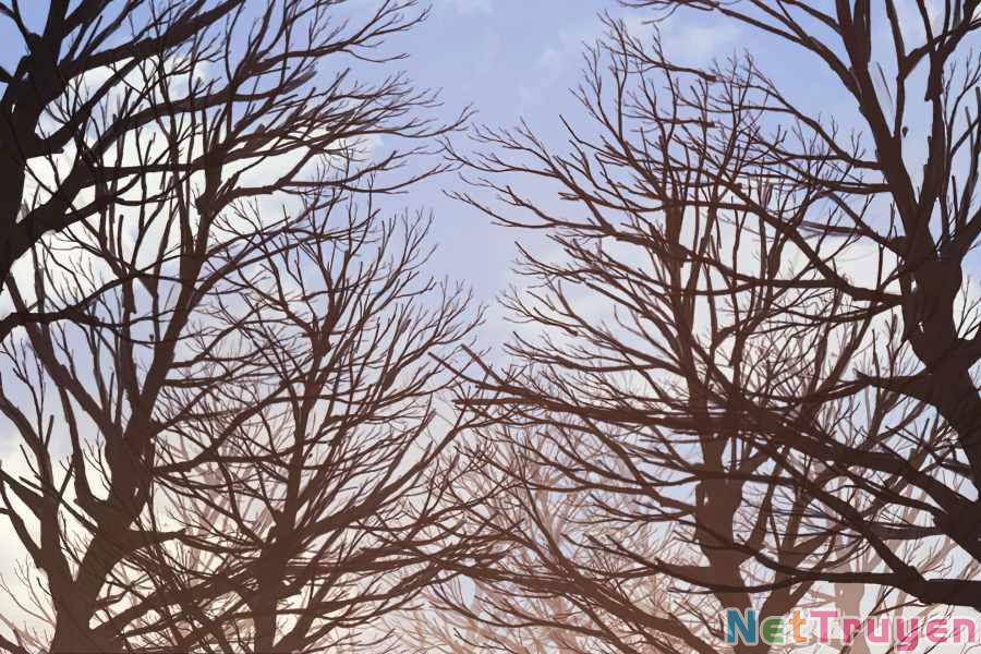 Sự Trở Lại Của Người Chơi Cấp Cao Nhất 111 trang 109