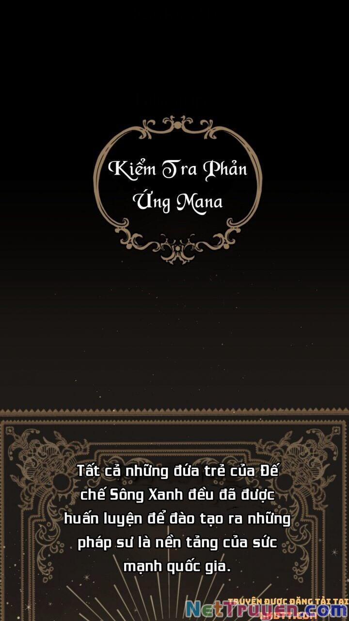 Sự Trở Lại Của Pháp Sư Cấp 8 2 trang 1