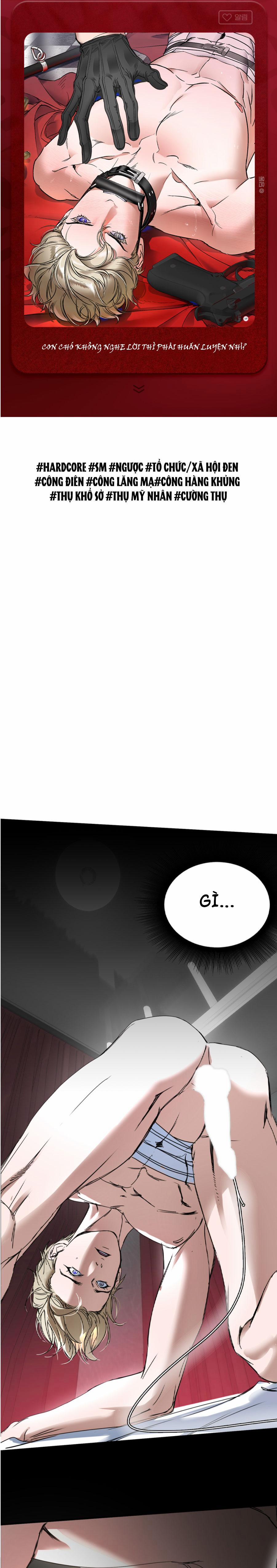 SỰ TRÓI BUỘC CỦA YAN 1 preview trang 0